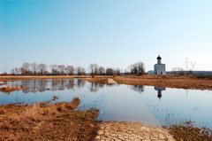 1st-place-spring-2010-7674421