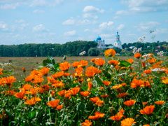 2nd-place-summer-2009-6595744