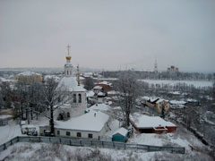 43vlad-2491573