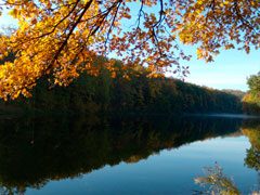 honorable-mention-fall-2010-5049893