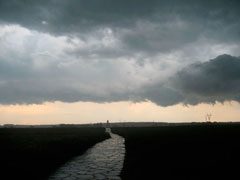 honorable-mention-summer-2009-7839377