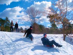img_8261-3994880