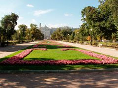 pedestrian-boulevard-blooming-flowers-5587244