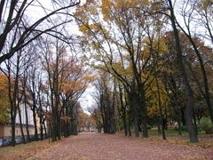 st-petersburg-08-018-9396426